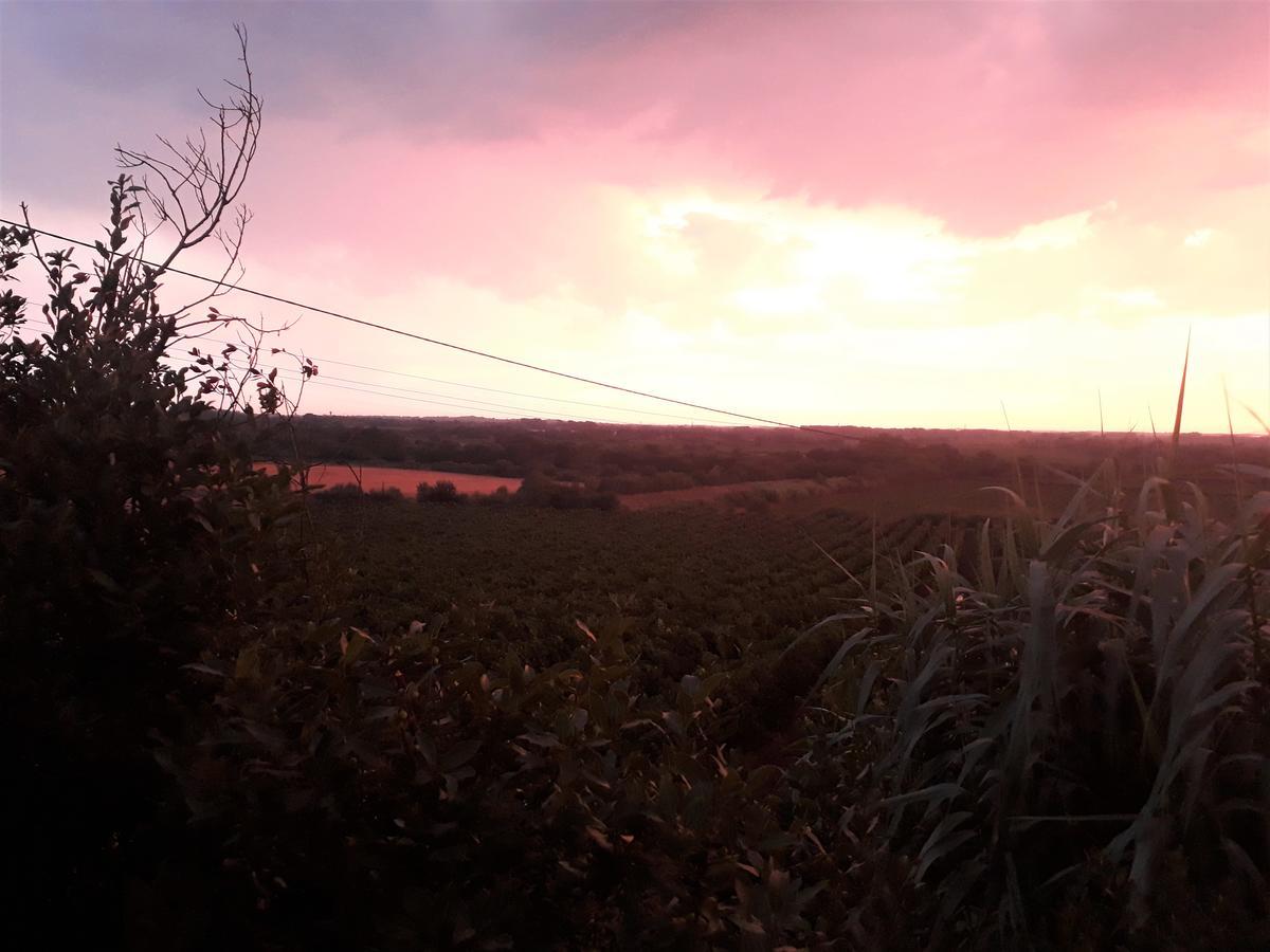 Domaine De Beaumont Villa Agde Kültér fotó
